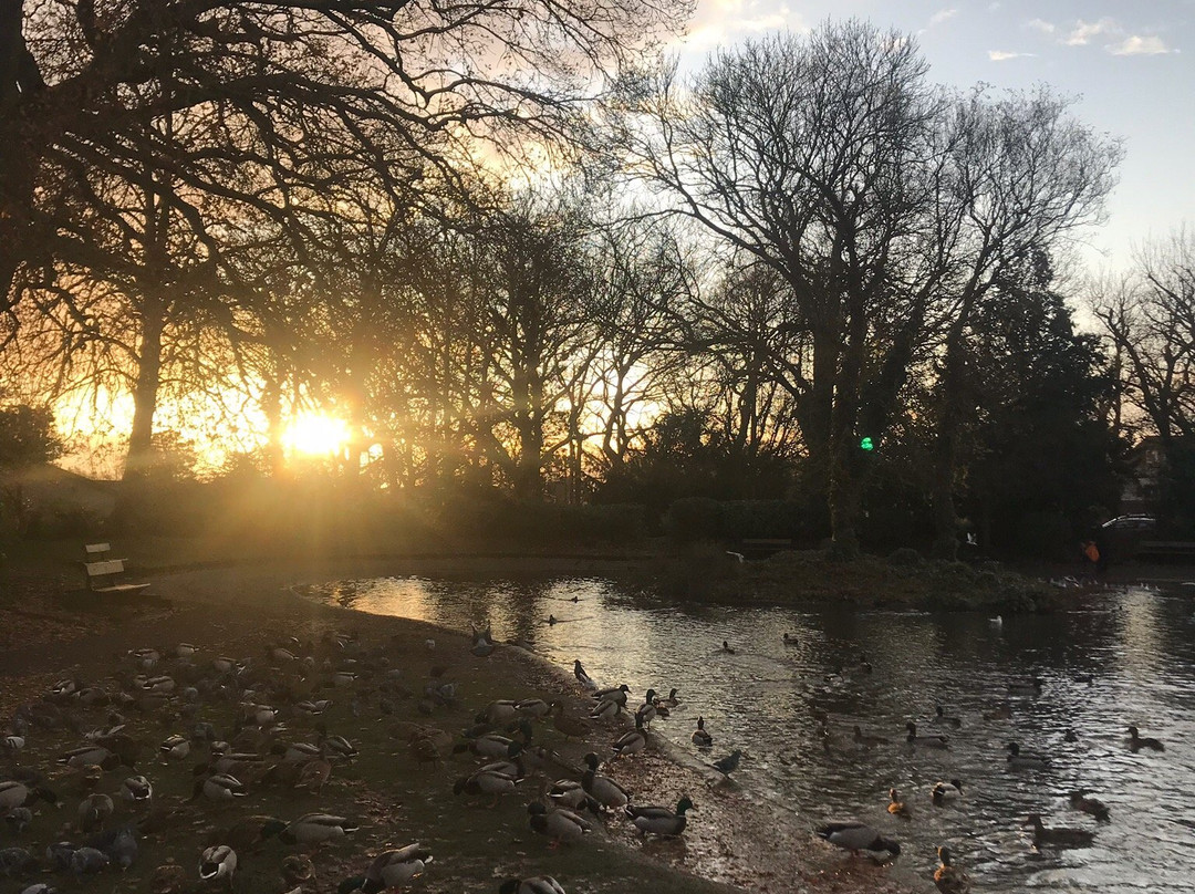 Pinner Memorial Park景点图片