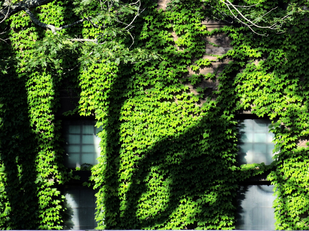 榆木村-水牛城必去景点