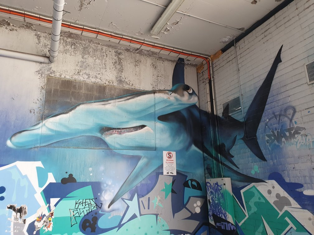 The Rose Street Artists' Market-菲茨罗伊必去景点