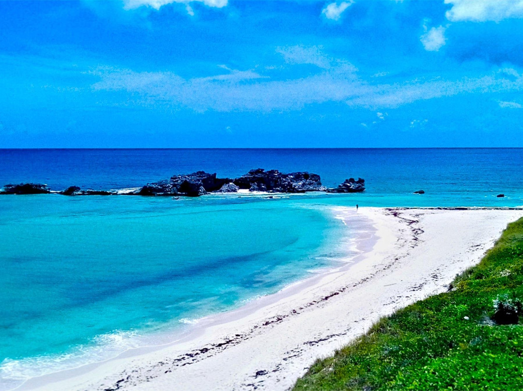 Belmont Car Rental and Tour