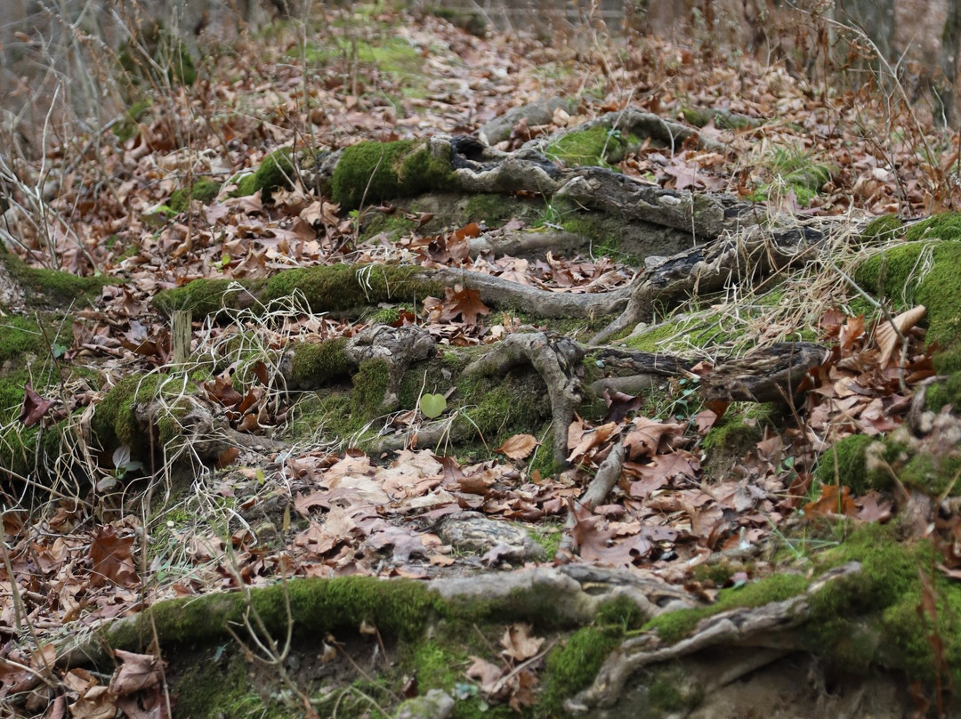 Fort Harrison State Park-印第安纳波利斯必去景点