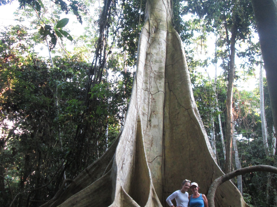 Amazon Tahuari Tours-伊基托斯必去景点