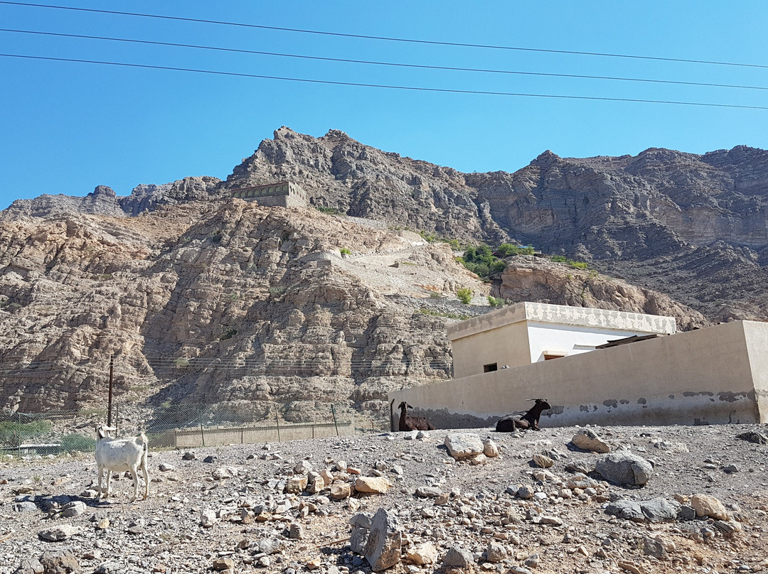 Challenging Adventure LLC-哈伊马角必去景点