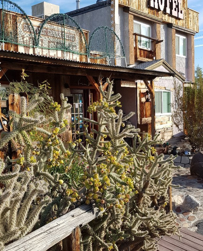 Sunnyvale Garden Suites Hotel - Joshua Tree National Park主图