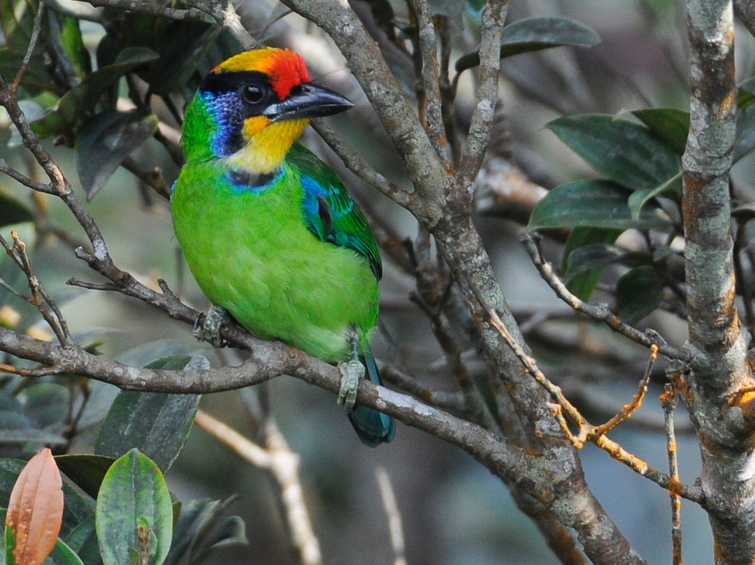 Vietnam Eco-Tours-岘港必去景点