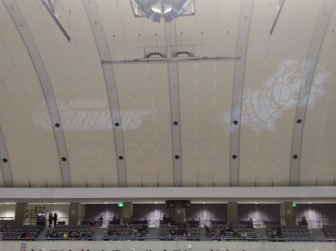 Kitamoto General Park-北本市必去景点