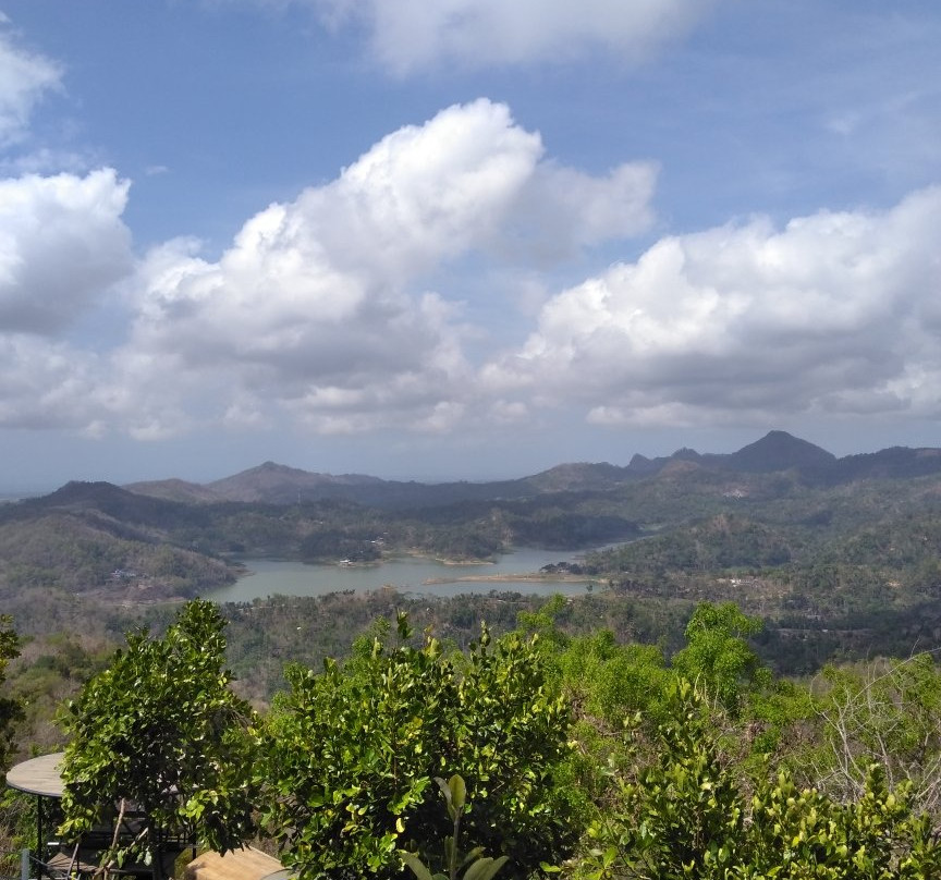 Wisata Kalibiru景点图片