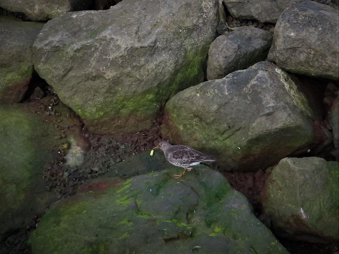 Sigló Hotel by Keahotels主图