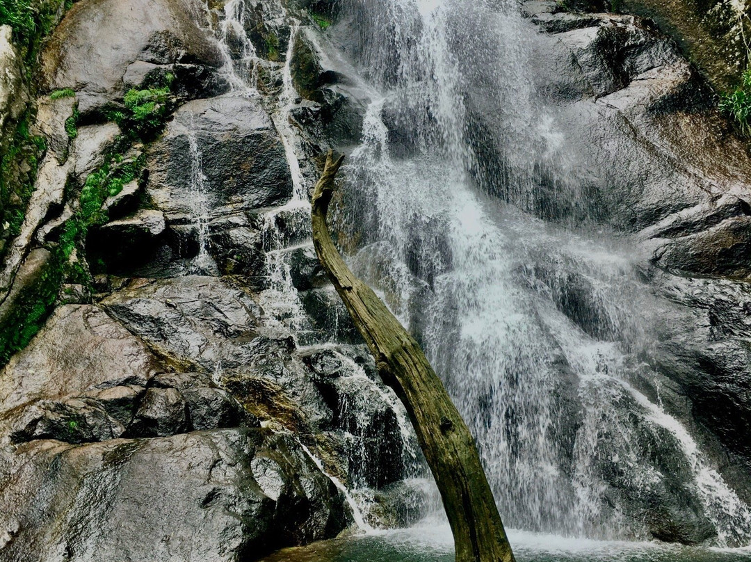 Cachoeira do Veloso景点图片