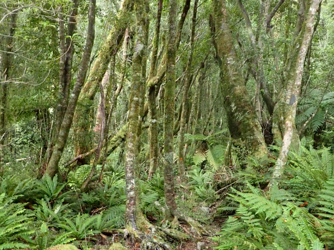 Dusky Track-Fiordland National Park必去景点