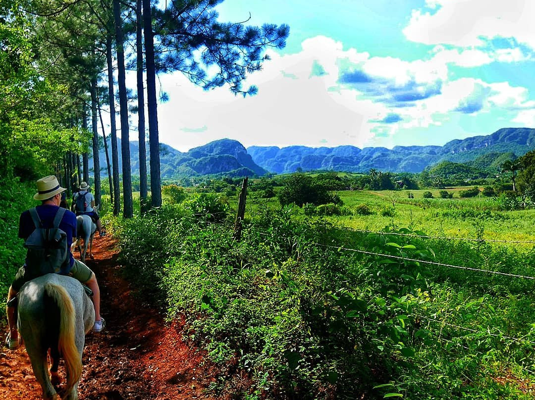 Sunny Vinales Tour-维纳勒斯必去景点