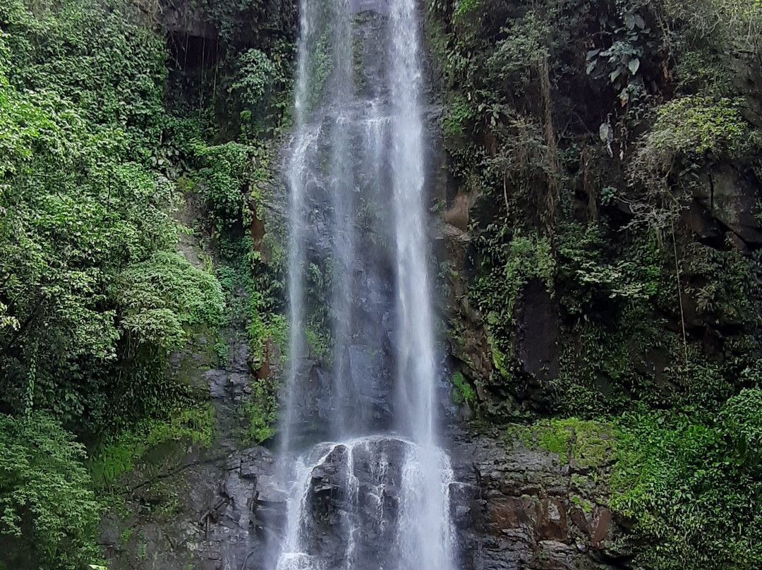 Pousada Itaimbe主图