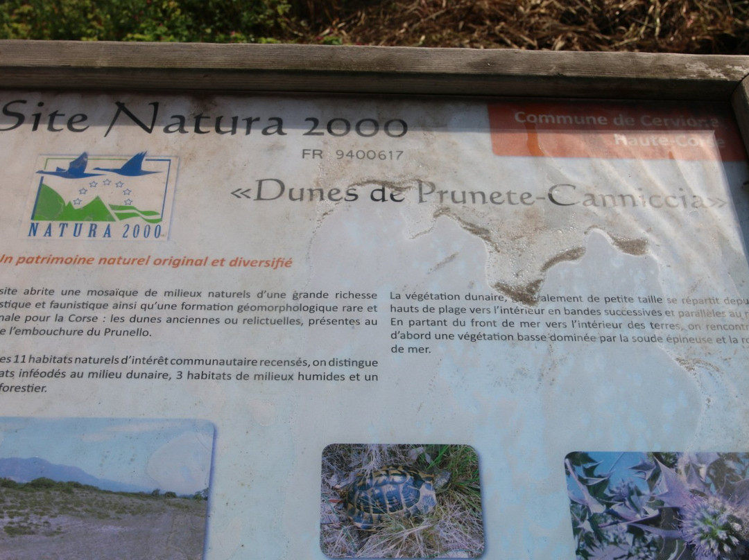 Plage de Prunete景点图片