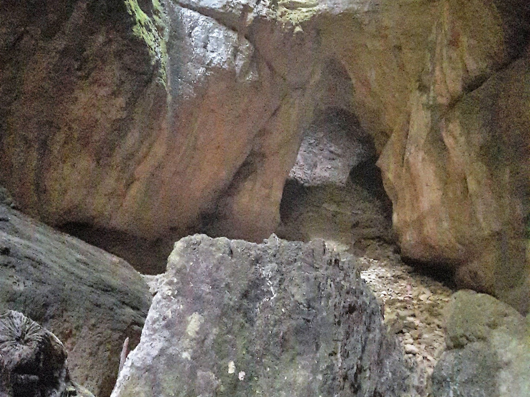 Cueva Palomera景点图片