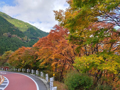 Okutama Shuyu Road-桧原村必去景点