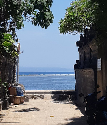 THE VOYAGE BALI by Hendra Guide Francophone Bali-乌布必去景点