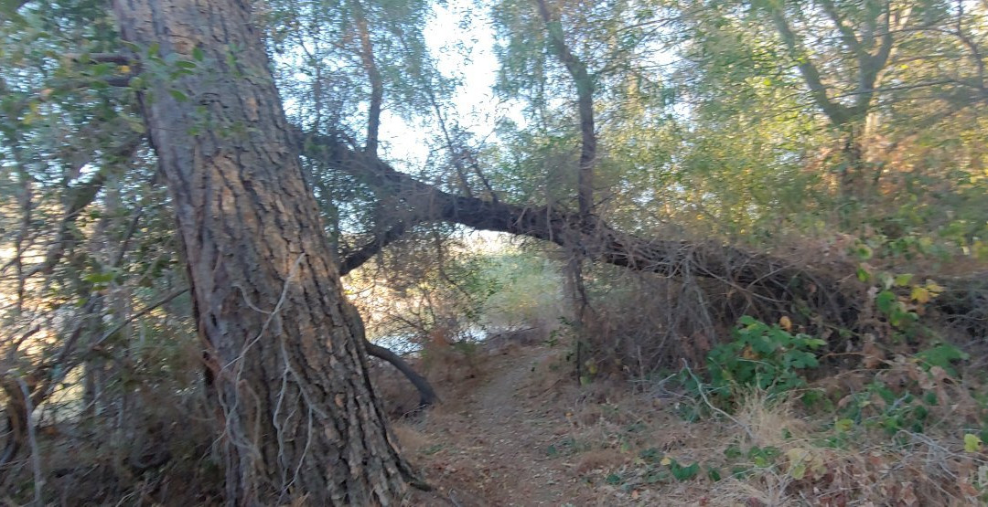 Folsom Lake State Recreation Area-佛森必去景点