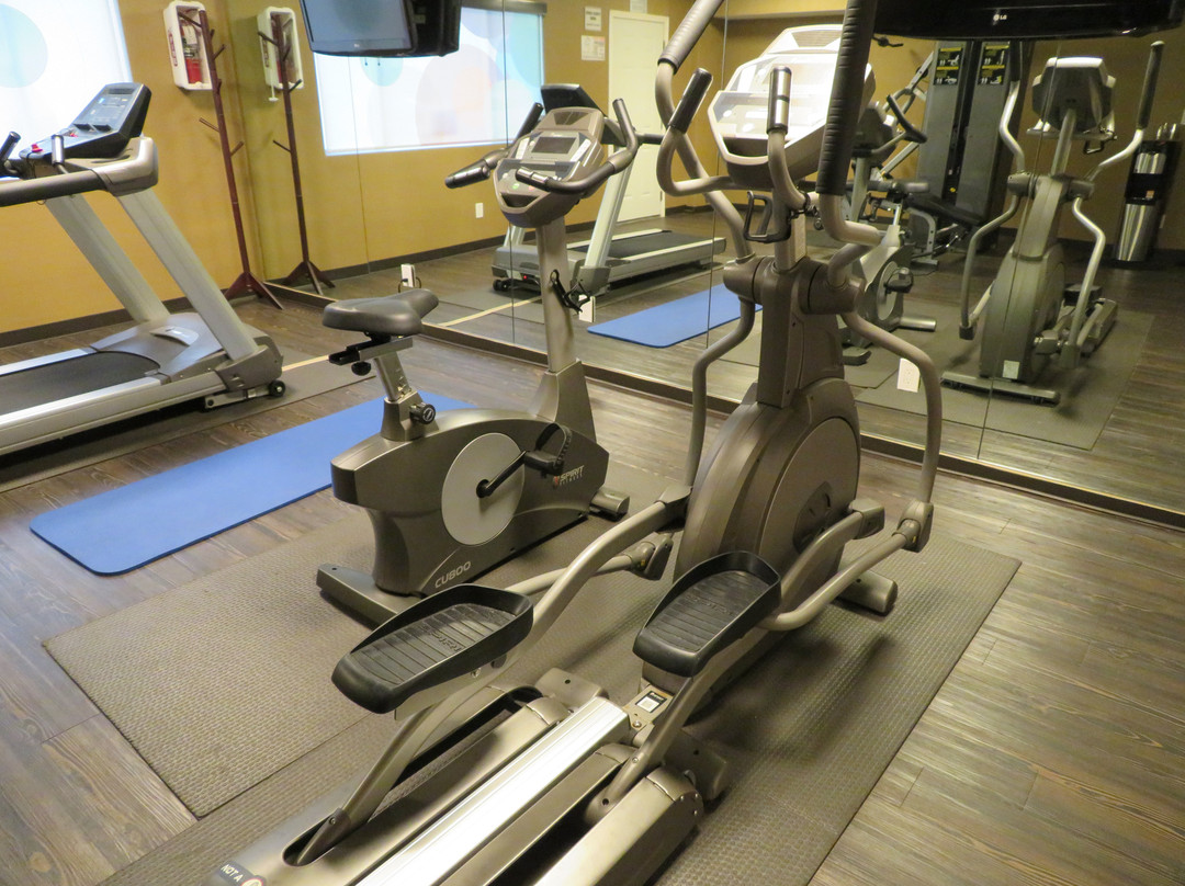 太平洋丛林镇贝斯特韦斯特套房酒店主图