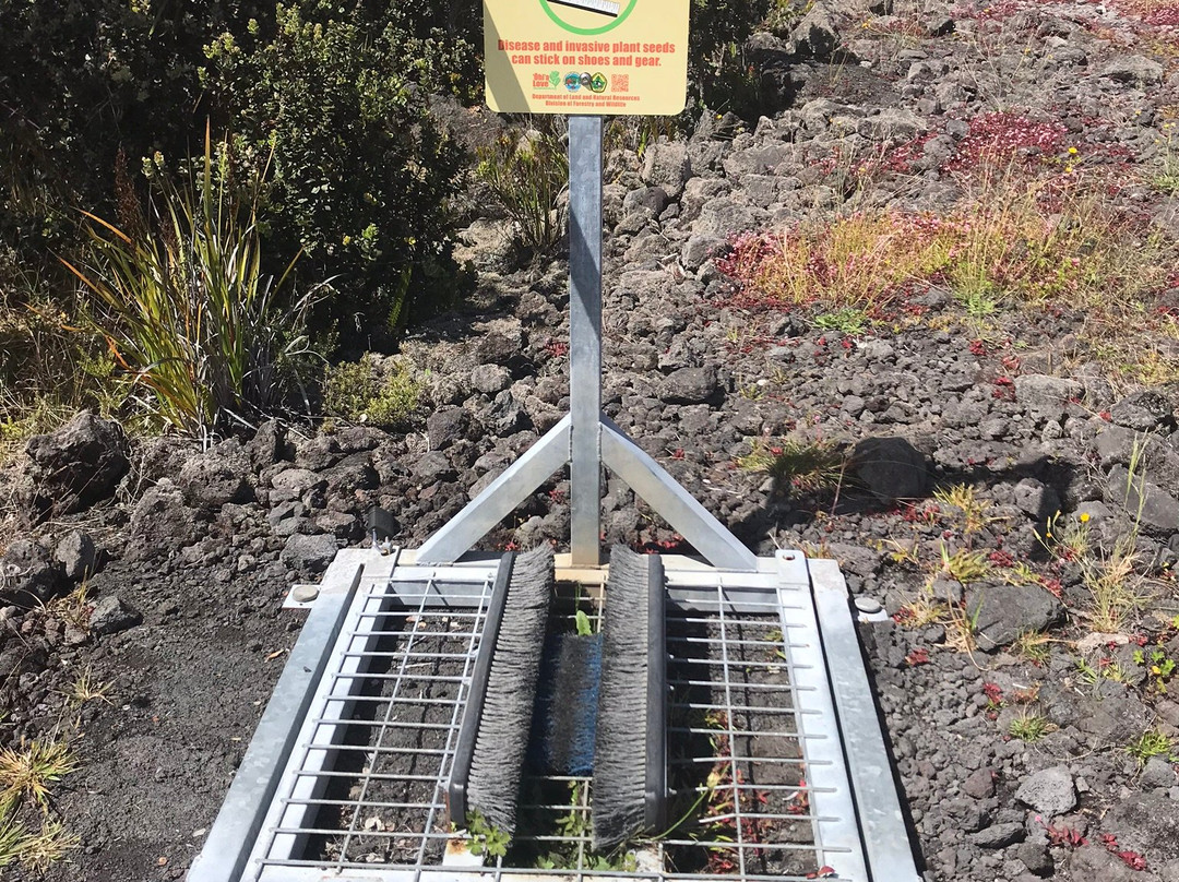 Pu'u Huluhulu trail-夏威夷火山国家公园必去景点