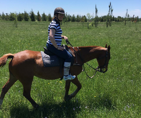 Caballos a la Par-布宜诺斯艾利斯必去景点