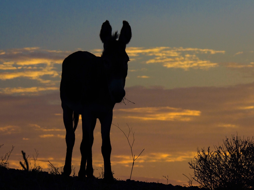 Quartzsite Adventures-Quartzsite必去景点