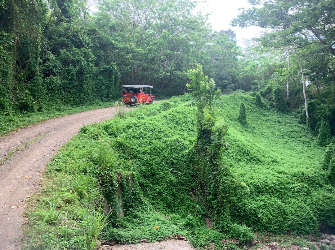 Off-Road Cave Safari景点图片