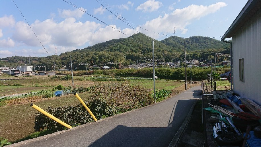 Mt. Kuma景点图片