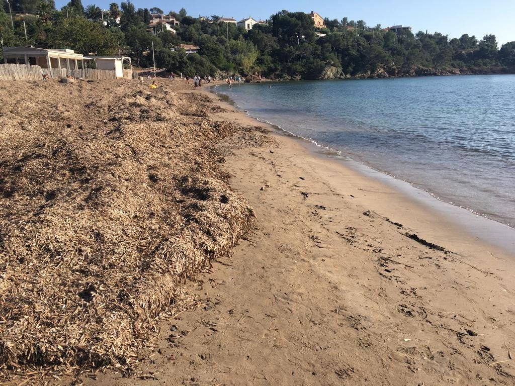 Plage de la Baumette景点图片