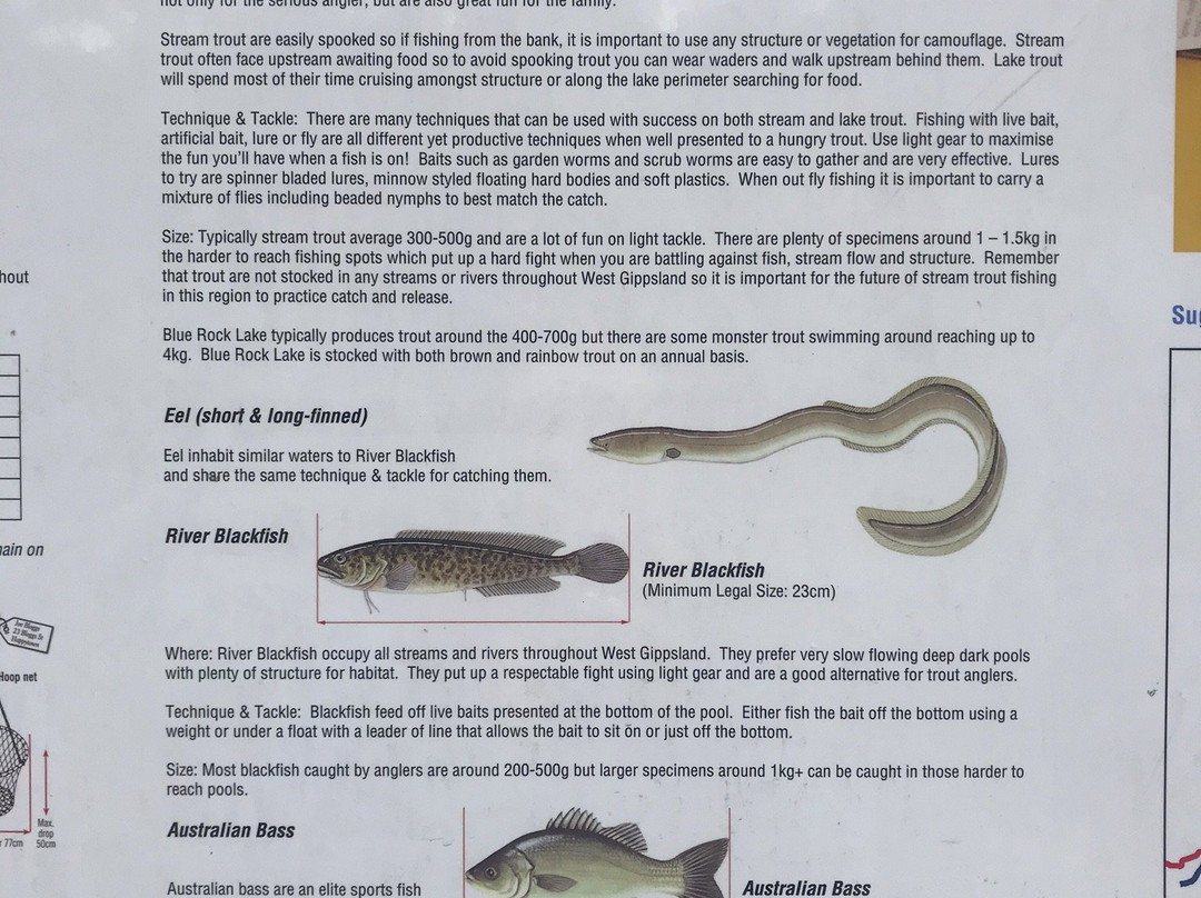 Noojee Picnic Grounds-Noojee必去景点