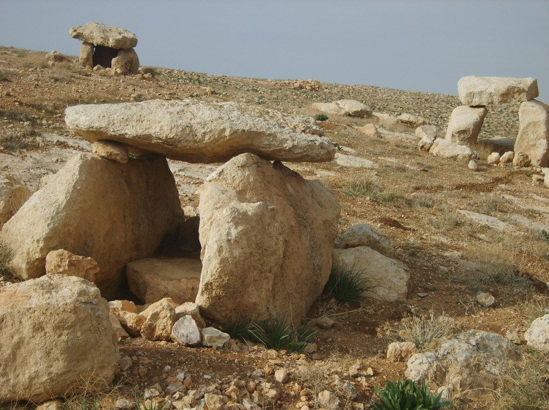 Wadi Jadid景点图片