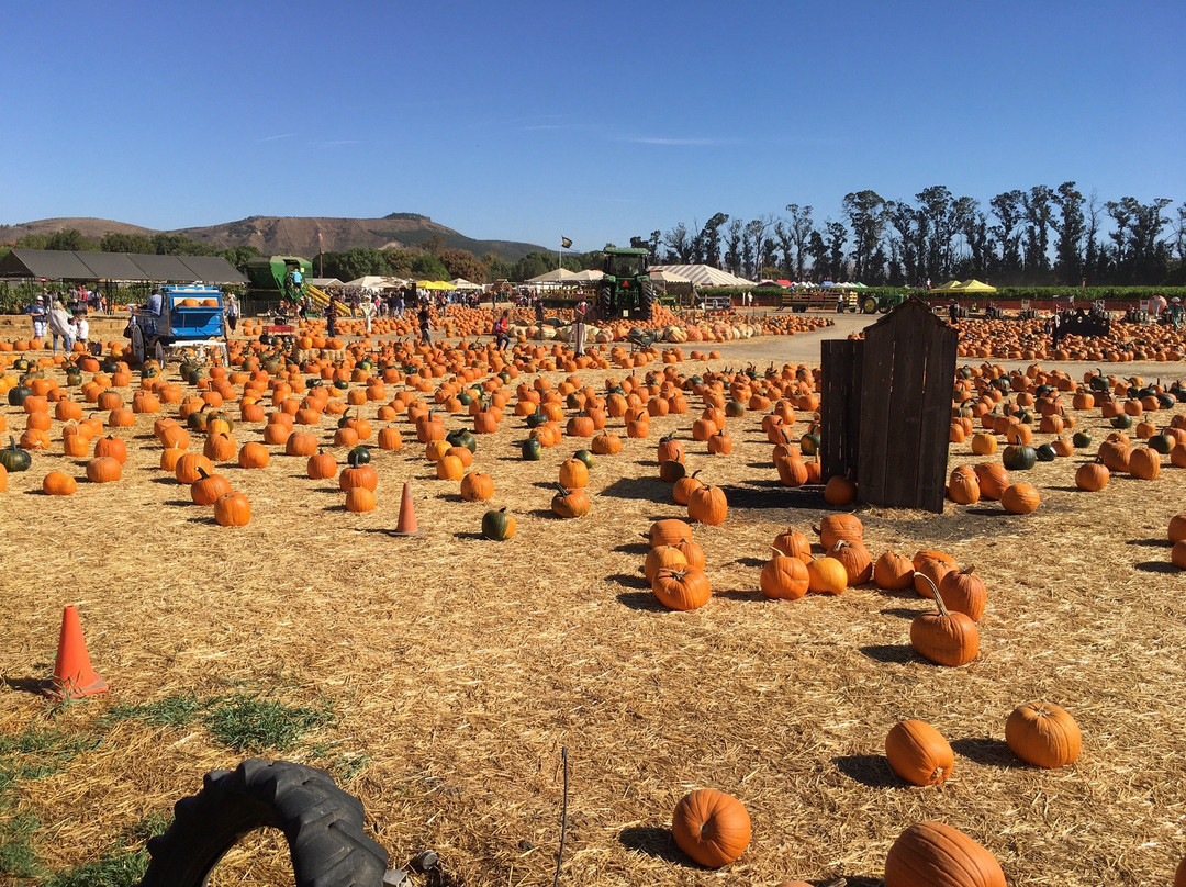 Underwood Family Farms - Moorpark-Moorpark必去景点