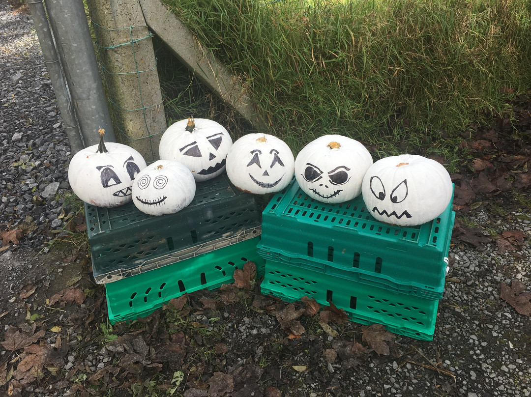 The Friendly Farmer景点图片