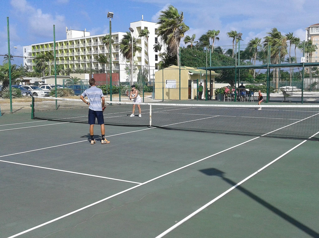 Omnibus Tennis-Noord必去景点