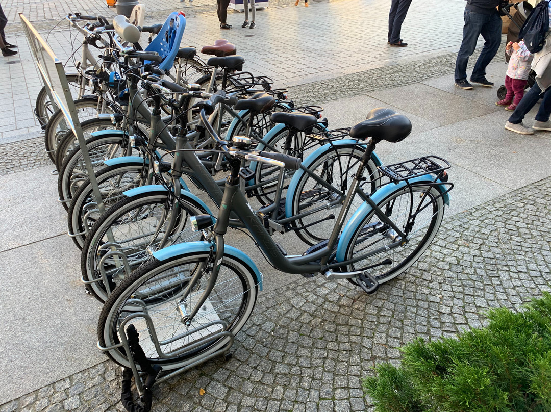 Bike Rental & Tours-弗罗茨瓦夫必去景点
