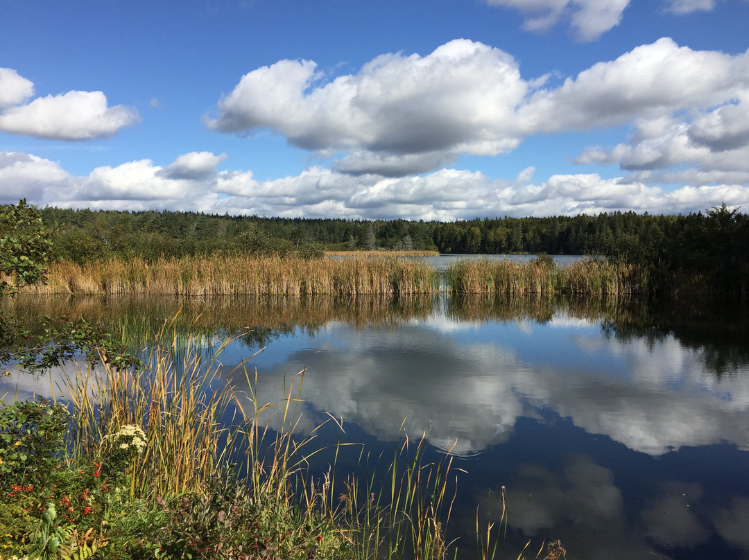 Amherst Point Bird Sanctuary景点图片