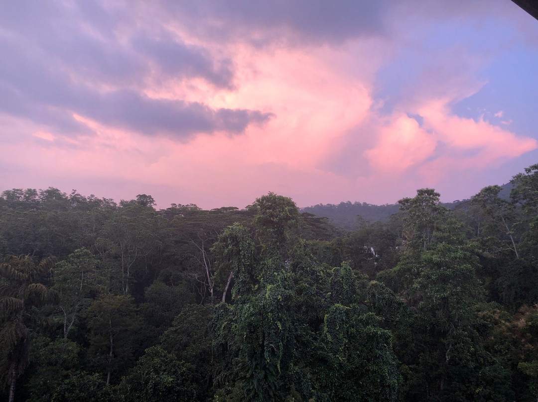 Bee View Home Stay主图