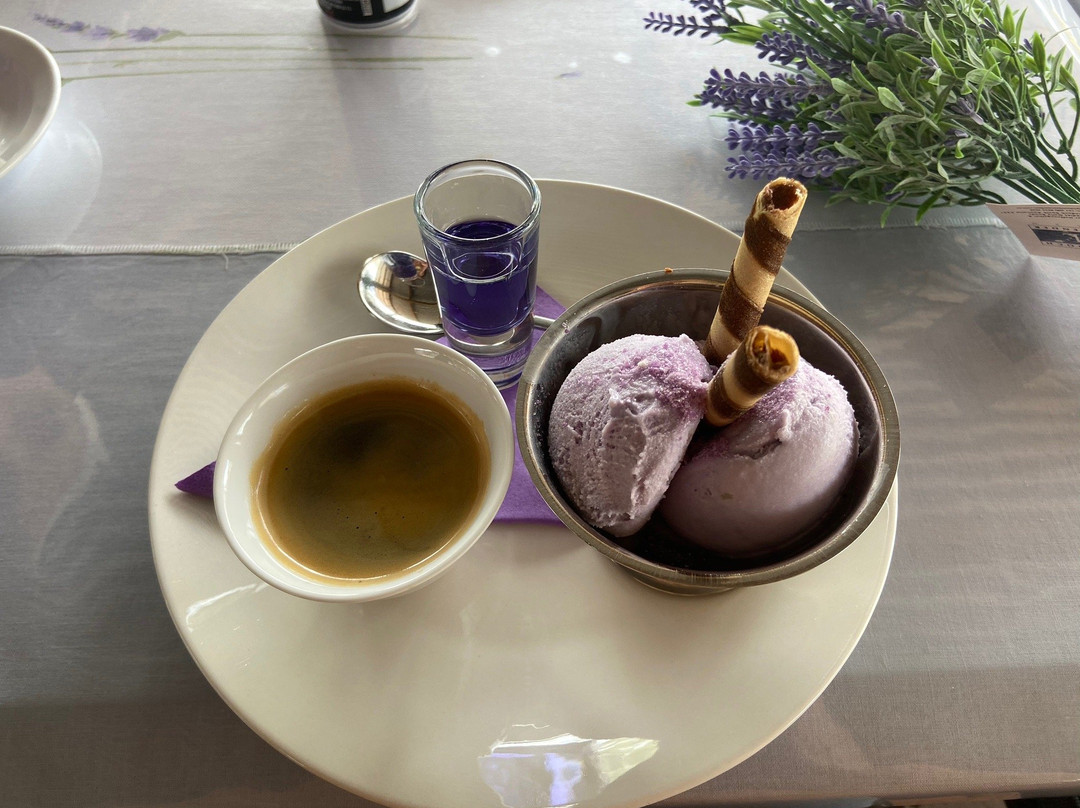 Lyndoch Lavender Farm景点图片