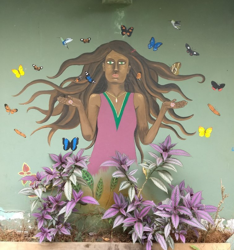Mariposario Tambopata景点图片