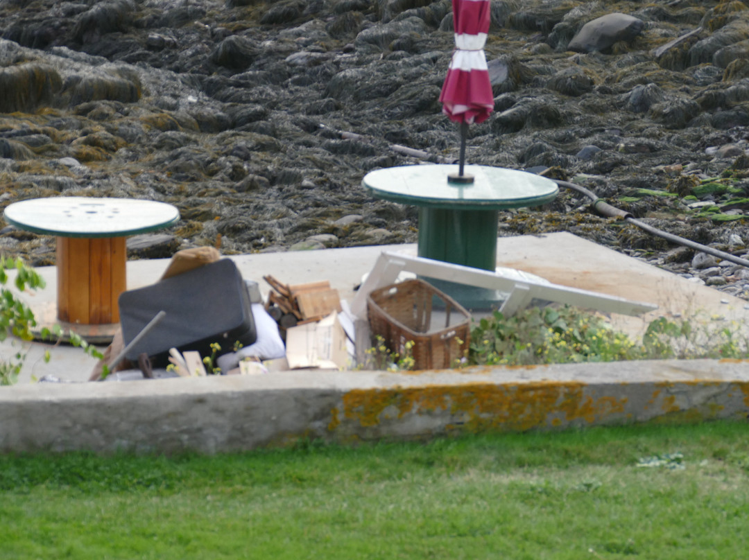 Driftwood Inn and Cottages主图