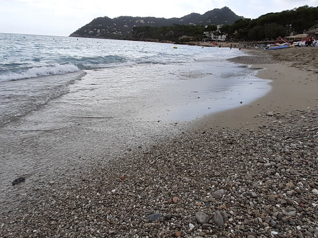 Platja de Canyamel-Canyamel必去景点
