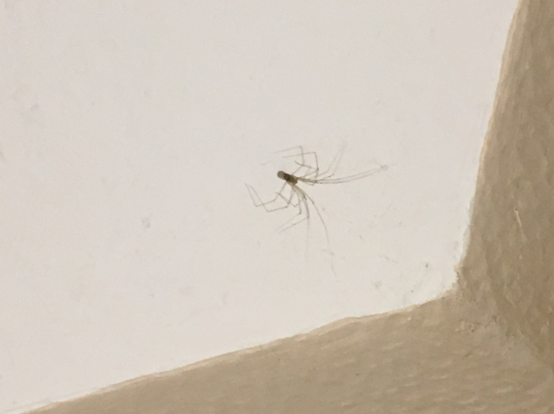 Romantik Hotel Schmiedegasthaus Gehrke主图