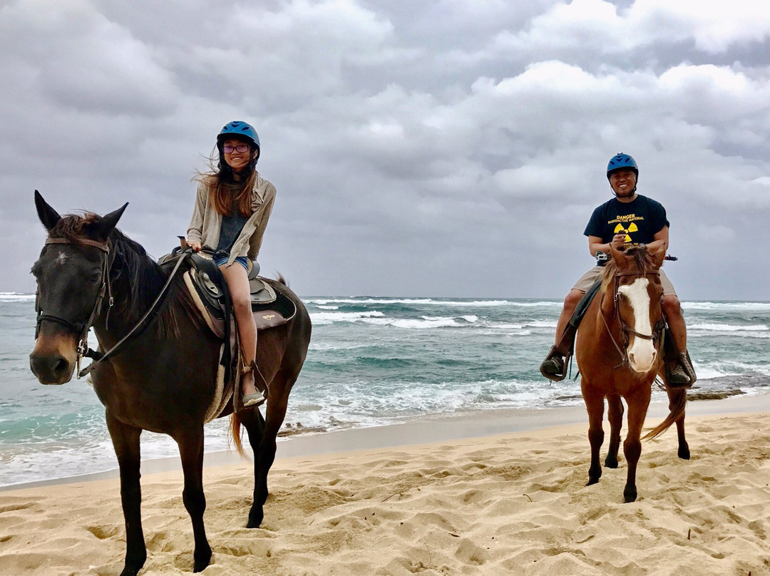 Hawaii Polo Trail Rides-瓦亚禄必去景点