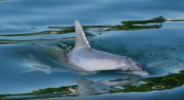 Paradise Boat Tours-Bradenton Beach必去景点