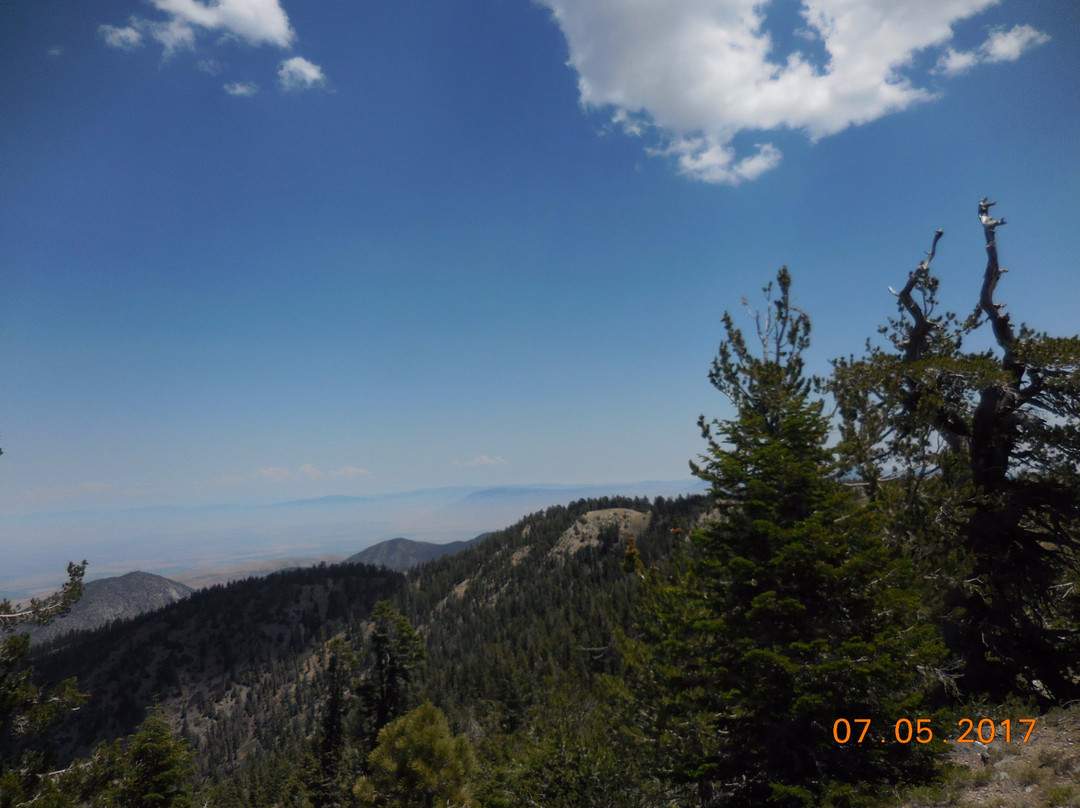 Mt. Pinos-Frazier Park必去景点