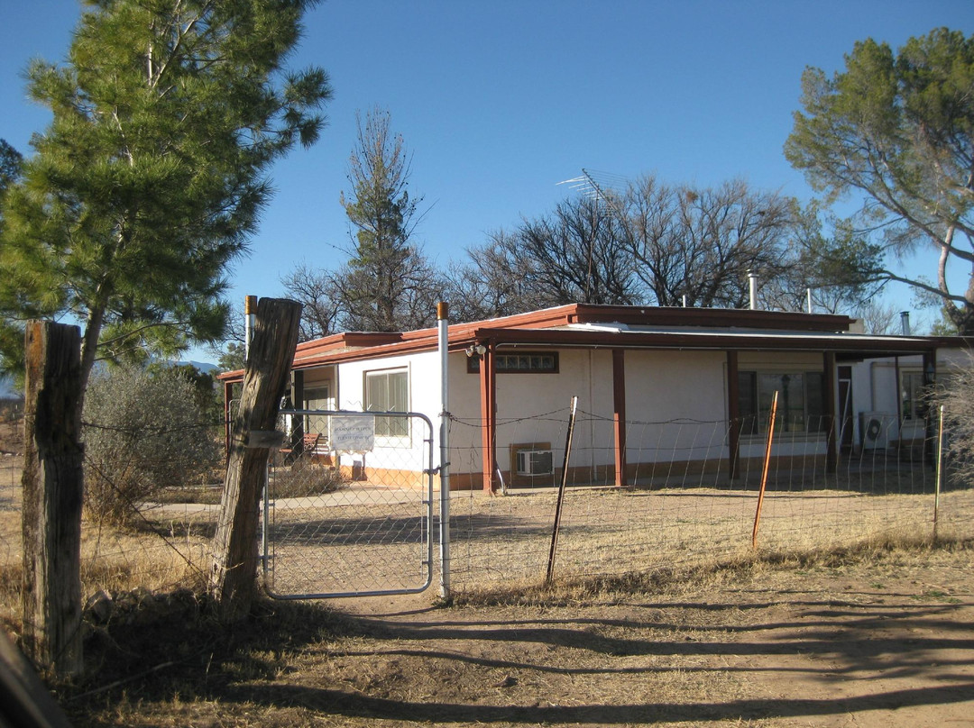 Saint David旅游景点-Singing Wind Bookshop