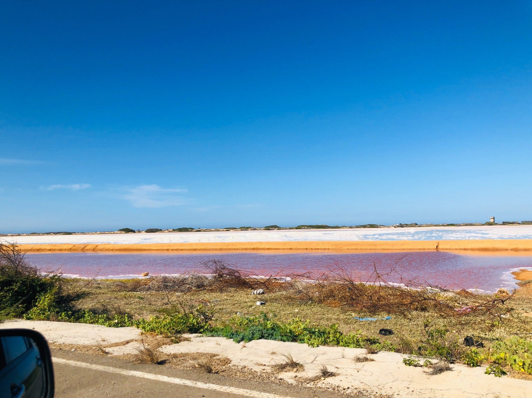 Salinas de Cumaragua景点图片