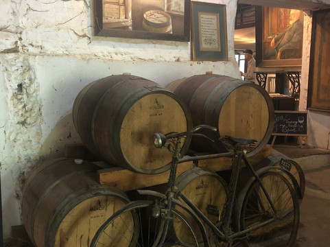 Afrivista Wine Tours-斯泰伦博斯必去景点