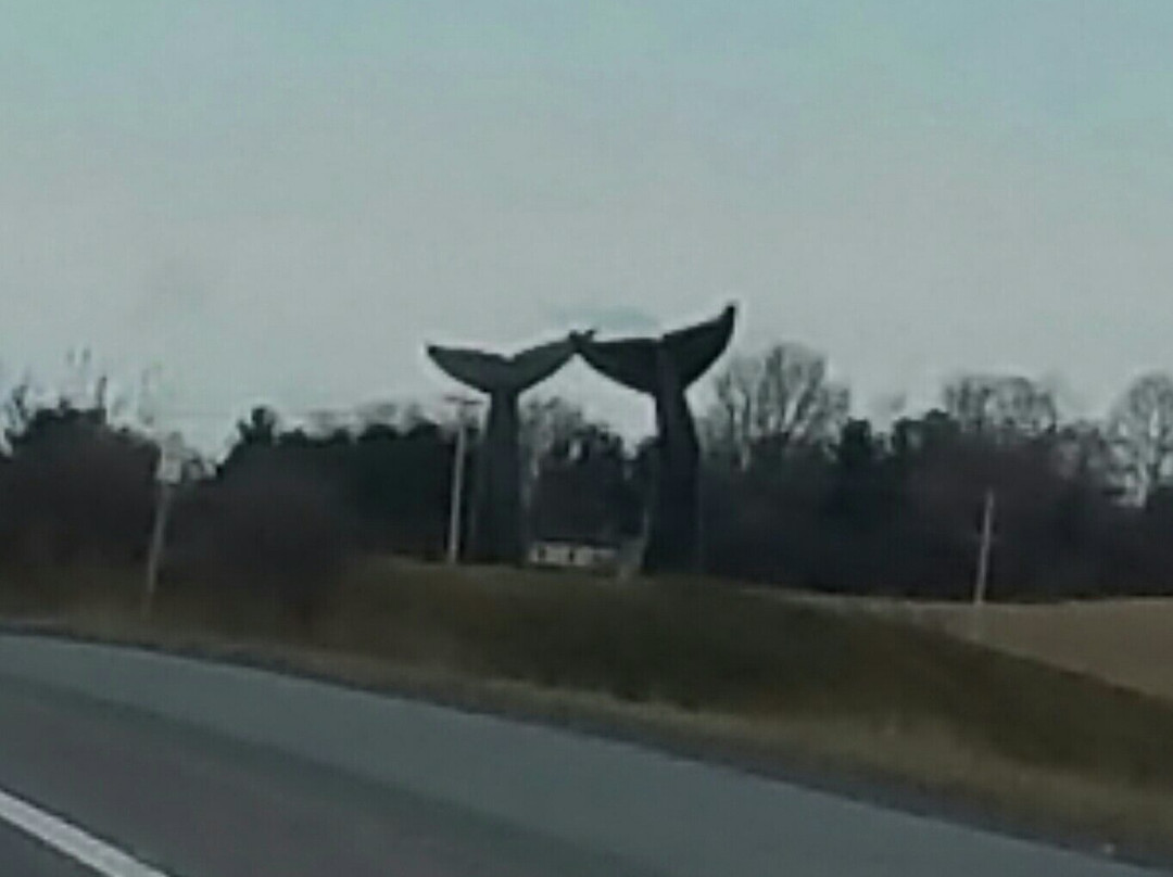 南伯灵顿旅游景点-Whales Tails