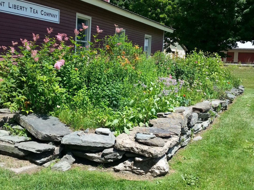 Vermont Liberty Tea Company-沃特伯里必去景点