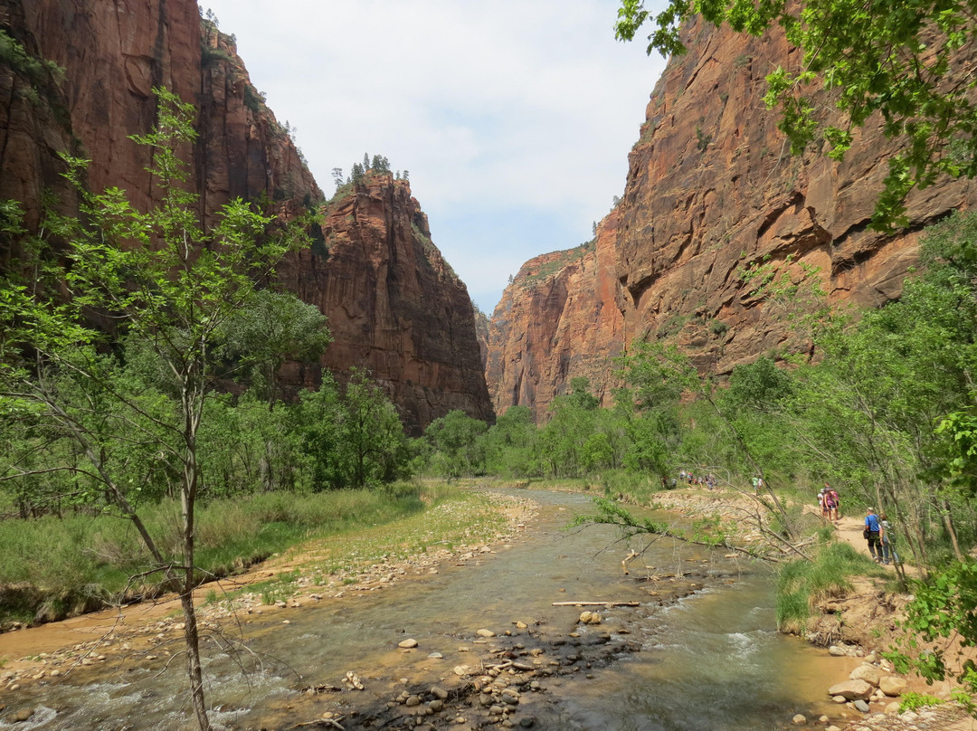 Zion National Park Rides